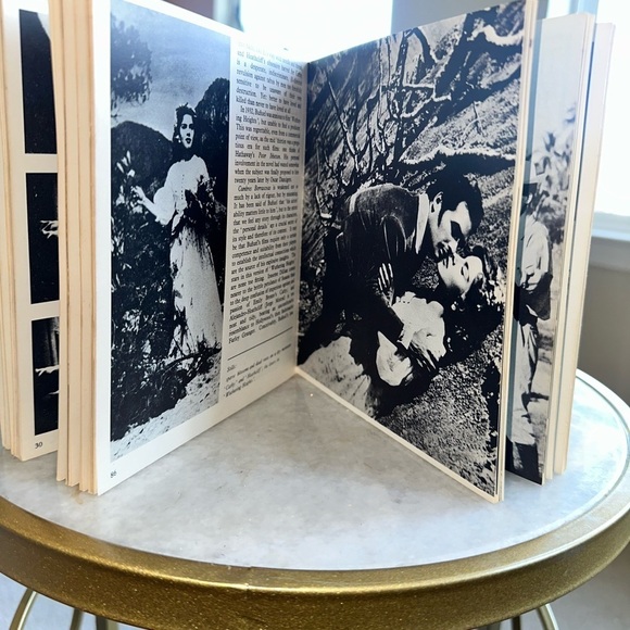 Luis Bunuel Movie Paperbacks - 1st American Edition 1968 - Picture 8 of 10